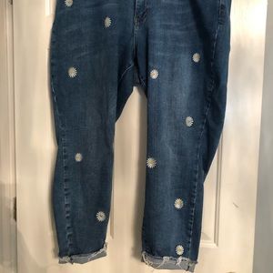 Judy Blue Daisy Capri 22/22W